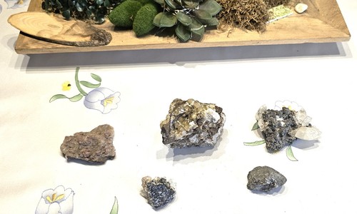 Exquisite sammlung - ,