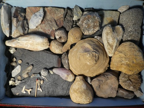 Top kiste mineralien - mineralien, fossilien