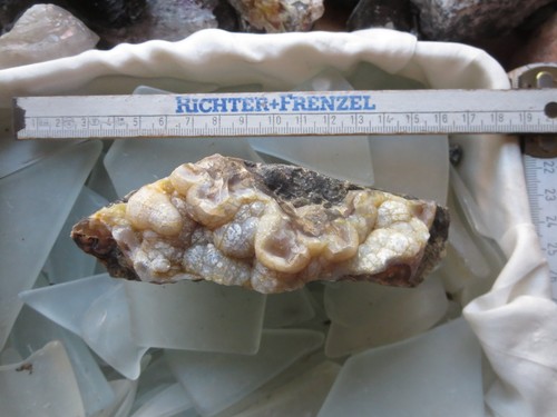 Fossiles opal holz mit - holz,
