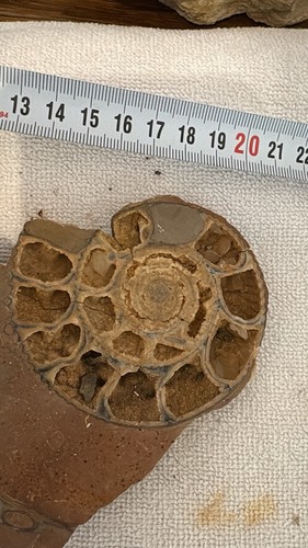 Mineralien sammlungsauflösung - mineralien,