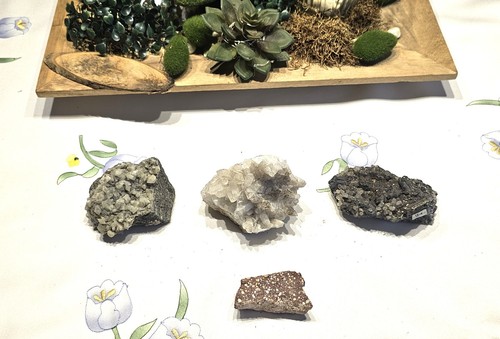 Exquisite sammlung - ,