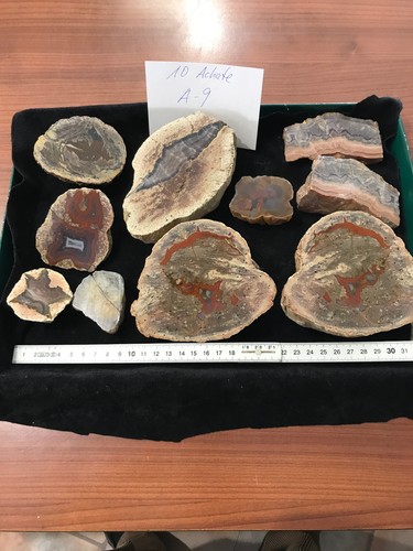 Stück achate sammlung - 10,